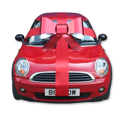 Fiocco Gigante 900 x 750 mm - immagine 7