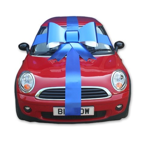 Fiocco Gigante 900 x 750 mm - immagine 9