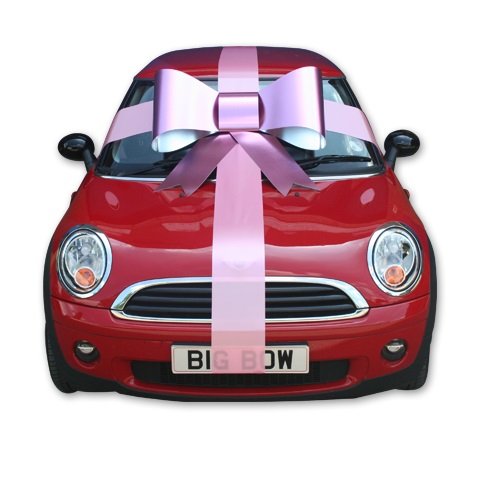 Fiocco Gigante 900 x 750 mm - immagine 10