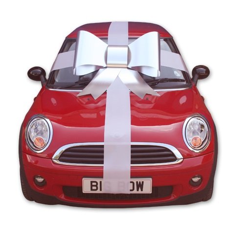 Fiocco Gigante 900 x 750 mm - immagine 8